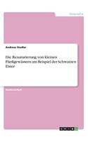 Die Renaturierung von kleinen Fließgewässern am Beispiel der Schwarzen Elster