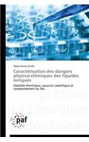 Caractérisation Des Dangers Physico-Chimiques Des Liquides Ioniques