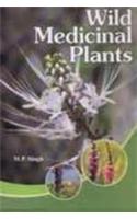 Wild Medicinal Plants