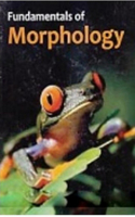 Fundamentals of Morphology