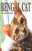 Bengal Cat: 2021 Mini Wall Calendar(Cuddly Cats)