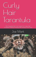 Curly Hair Tarantula: The Complete Pet Care Guide On Curly Hair Tarantula Training, Housing, Diet Feeding And Care