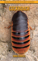 Cockroach