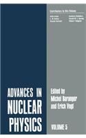 Advances in Nuclear Physics