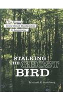 Stalking the Ghost Bird