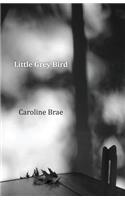 Little Grey Bird