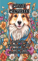 Collie Canvases
