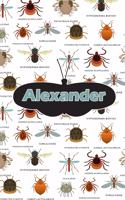 Alexander: Bug Insect Handwriting for K-3 Students Practice Paper Book Notebook Journal Book 120 Pages 6x9
