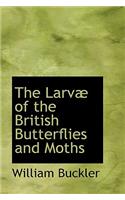 The Larv of the British Butterflies and Moths