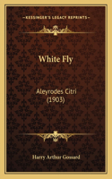 White Fly