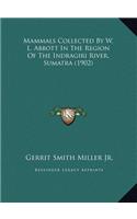 Mammals Collected By W. L. Abbott In The Region Of The Indragiri River, Sumatra (1902)