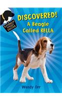 Discovered! a Beagle Called Bella: (6 Rainbow Street Shelter)