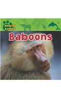 Baboons