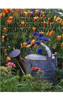 Mi Primer Borrador De Homeosiniatria Y Homotoxicologia