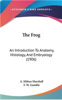 The Frog