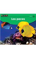 Los Peces Leveled Text