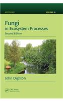 Fungi in Ecosystem Processes