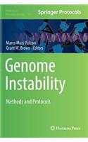 Genome Instability