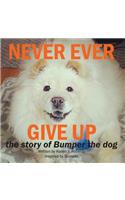 Never Ever Give Up, The story of Bumper the dog.