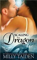 Scaling Her Dragon