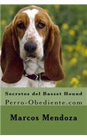 Secretos del Basset Hound