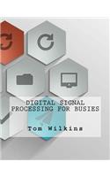 Digital Signal Processing For Busies
