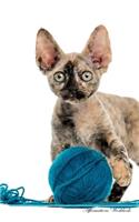 Devon Rex Affirmations Workbook Devon Rex Presents: Positive and Loving Affirmations Workbook. Includes: Mentoring Questions, Guidance, Supporting You.