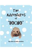 Adventures of Bocho
