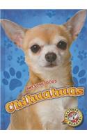 Chihuahuas