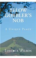 Below Gobblers Nob