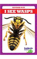 I See Wasps