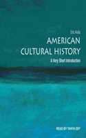 American Cultural History