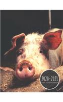 2020-2021 Two Year Planner: Pig Planner January 1, 2020 to December 31, 2021 Weekly & Monthly Planner + Calendar Views 2 Year Calendar 24 Month Agenda Planner Gift For Pig Love