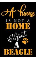A House Is Not A Home Without A Beagle
