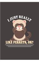 I Just Really Like Ferrets, Ok?