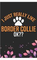 I Just Really Like Border Collie Ok?