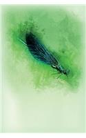 Dragonfly Green Journal