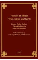 Practices to Benefit Pretas, Nagas and Spirits