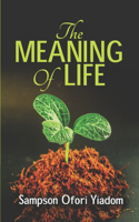 MEANING OF LIFE