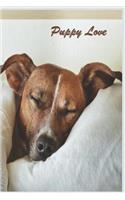 Puppy Love