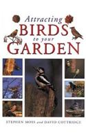 Attracting Birds to Your Garden