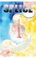 Splice