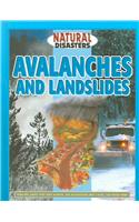 Avalanches and Landslides