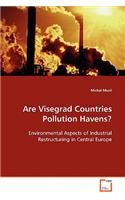 Are Visegrad Countries Pollution Havens?