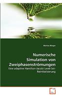 Numerische Simulation von Zweiphasenströmungen