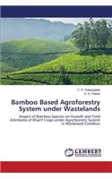 Bamboo Based Agroforestry System under Wastelands