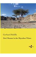 Drei Monate in der libyschen Wüste: (German)