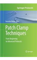 Patch Clamp Techniques: From Beginning to Advanced Protocols