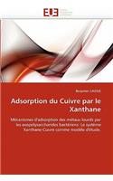 Adsorption du cuivre par le xanthane