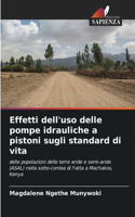Effetti dell'uso delle pompe idrauliche a pistoni sugli standard di vita